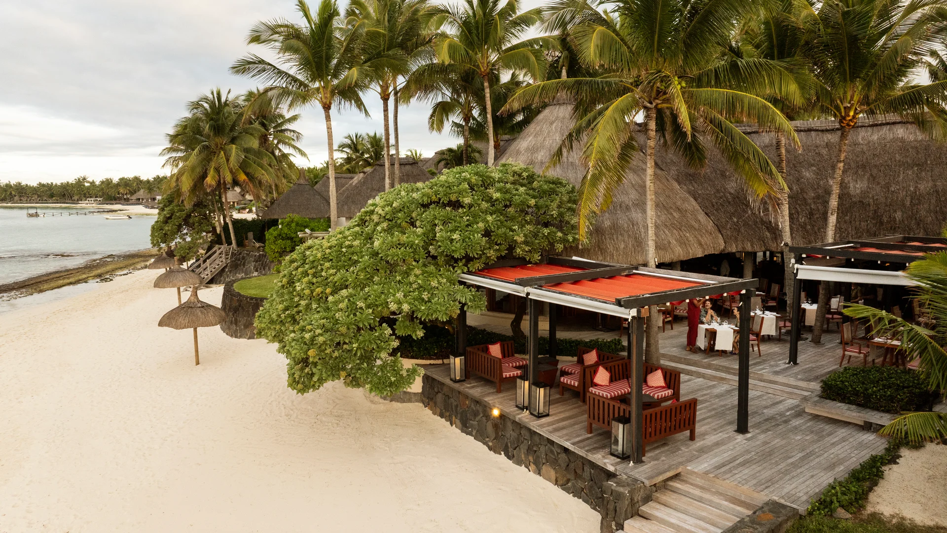 A group dining together on the beach