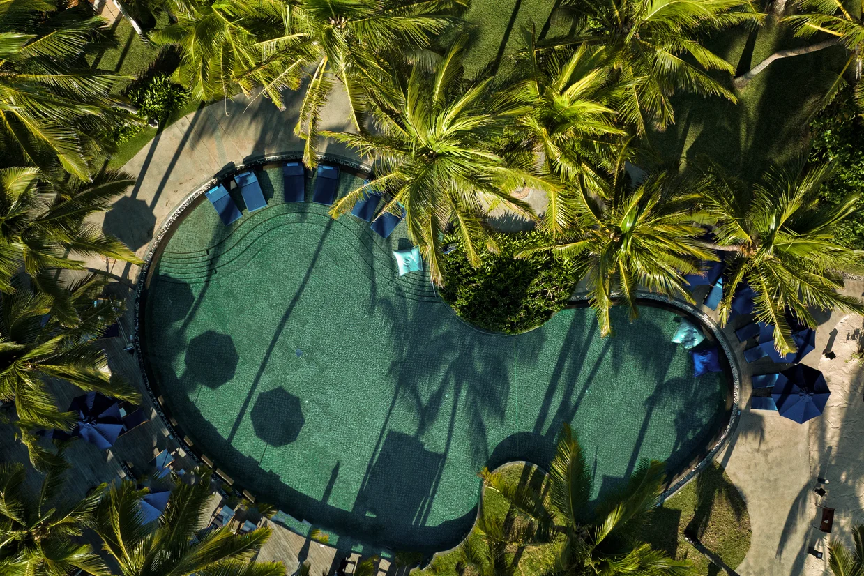 Swimming pool surrounded by palms
