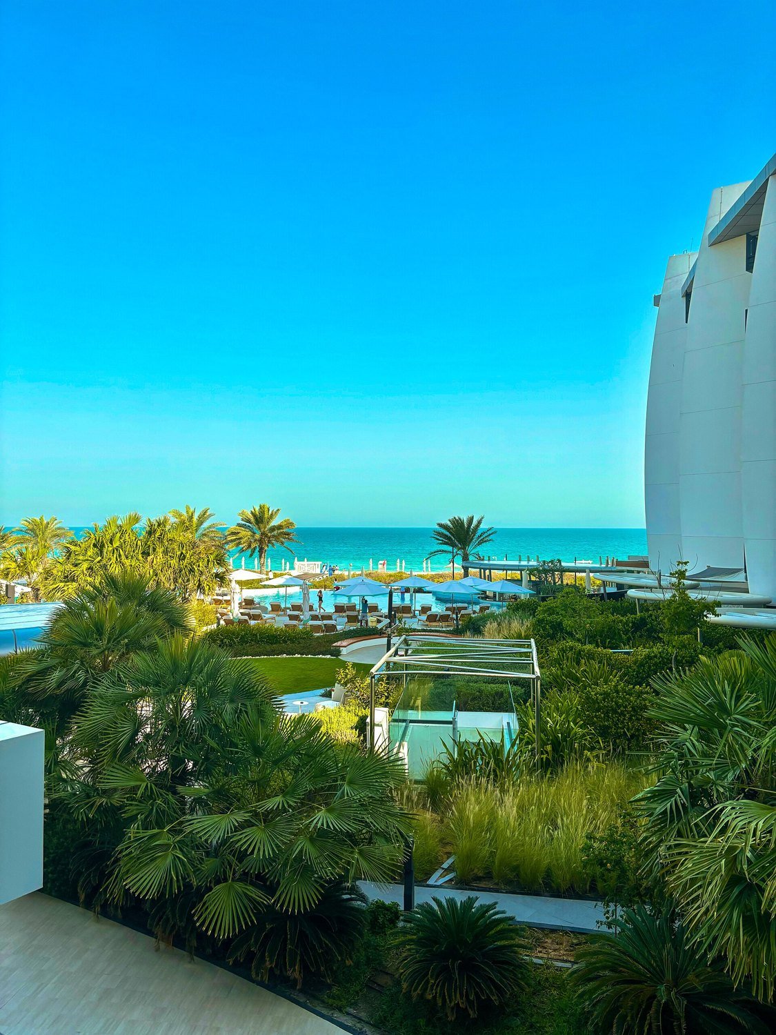 Resort pool and gardens facing the sea at Saadiyat Island